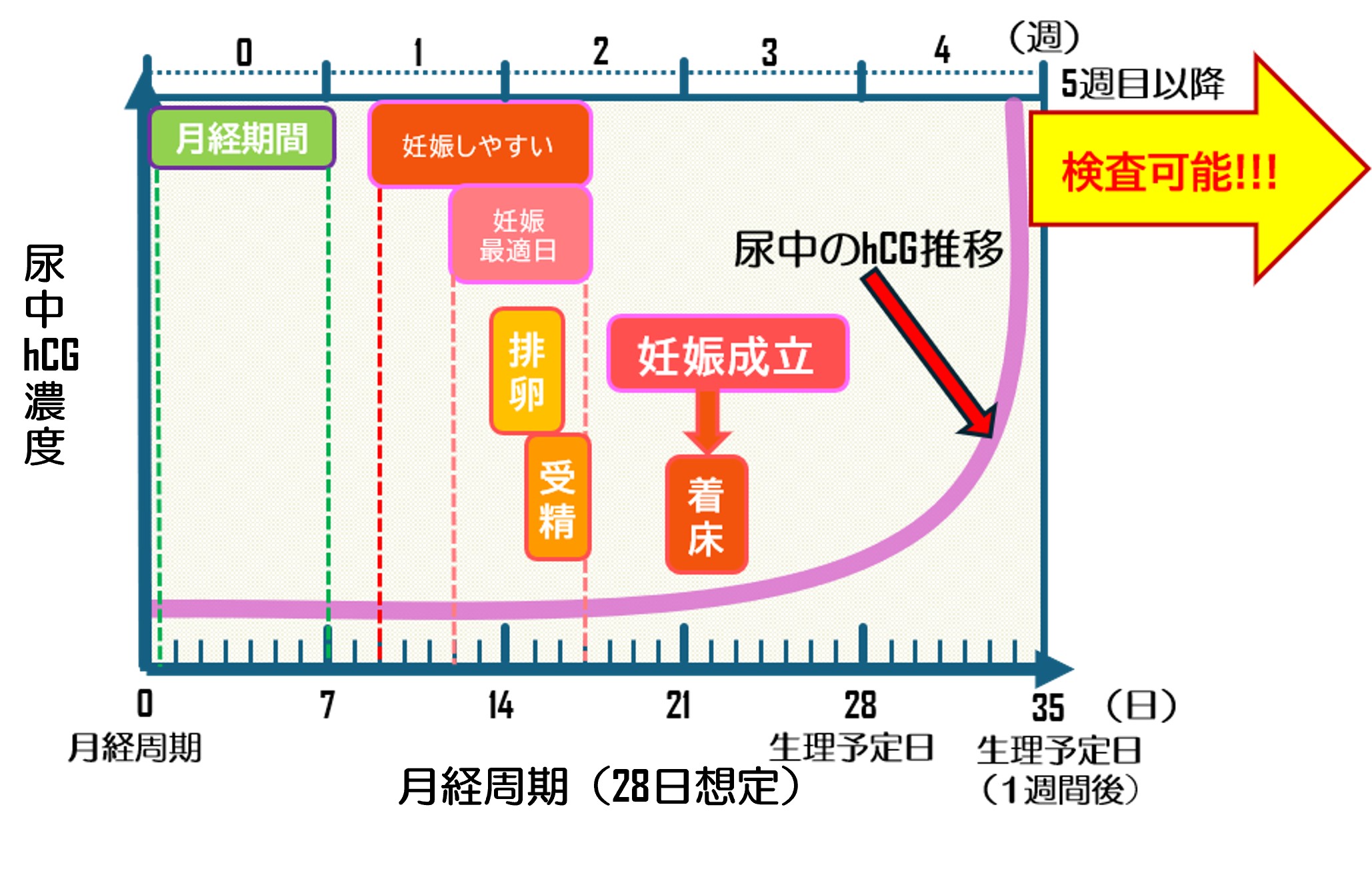 検査できる日