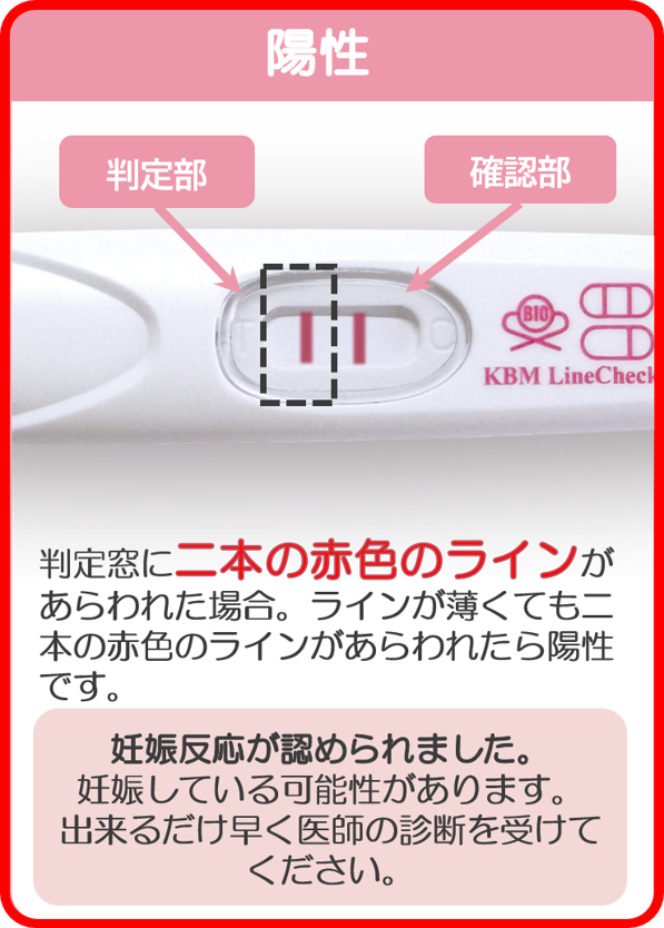 陽性