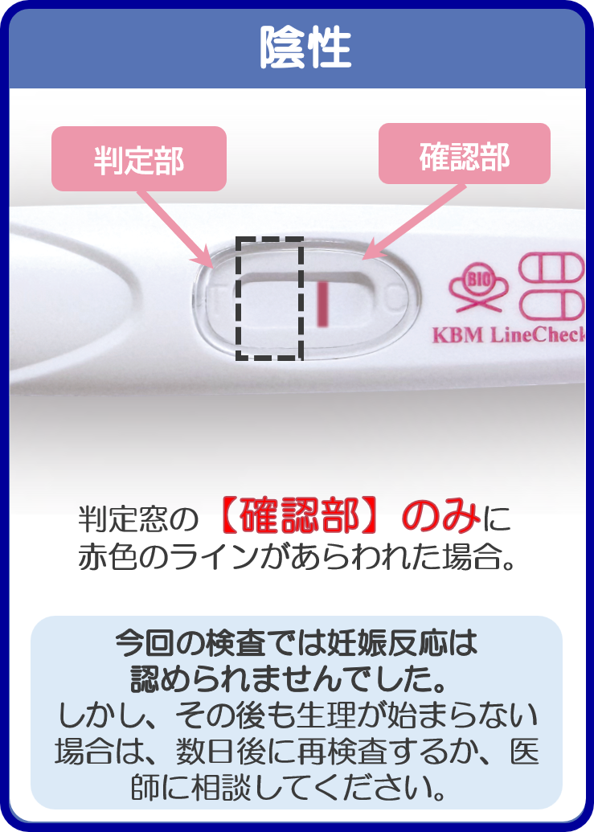 陰性
