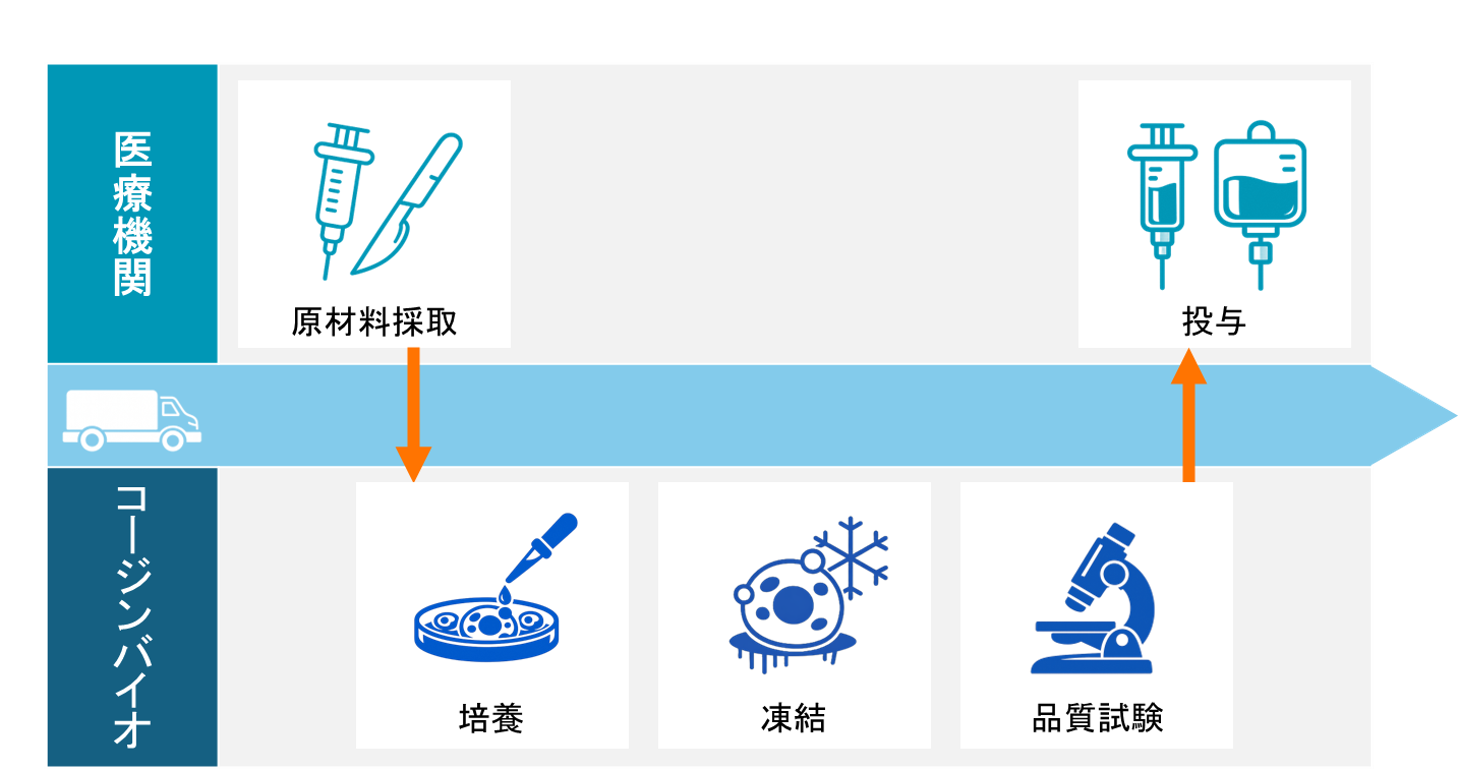 治療の流れ