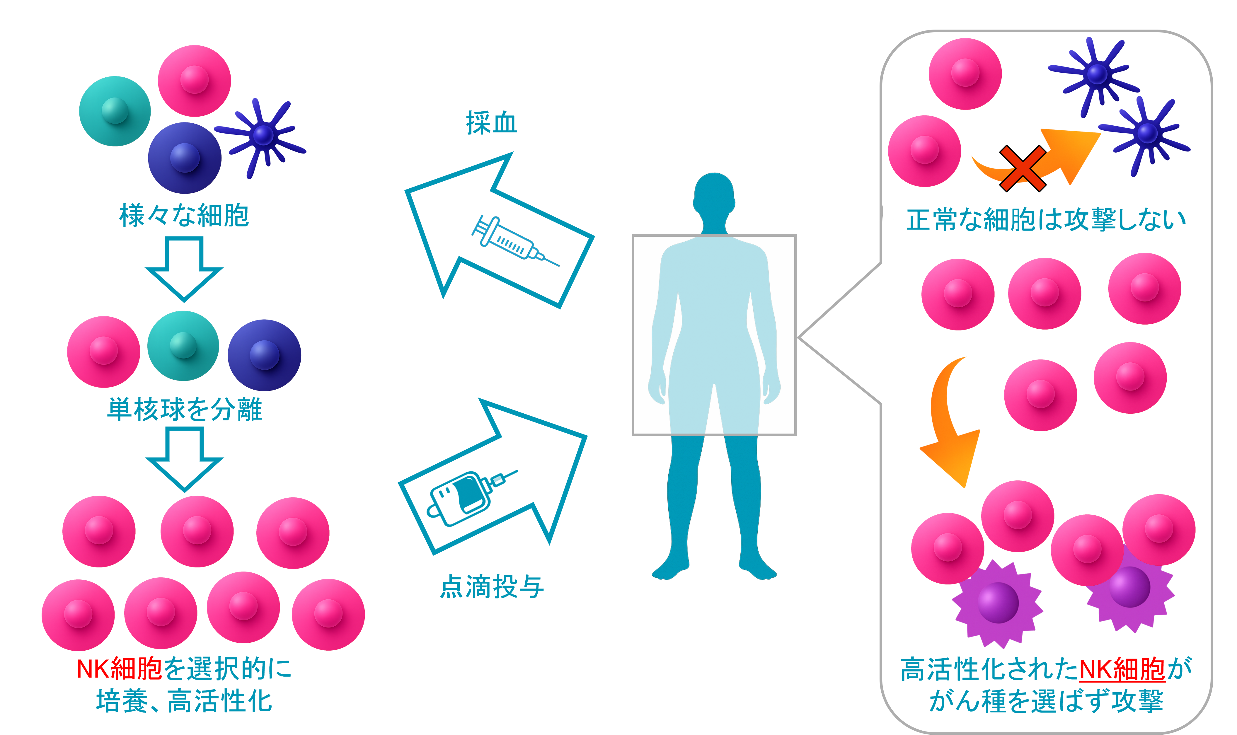 NK細胞療法 イラスト